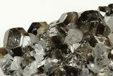 Gemmy Cassiterite Crystals With Quartz - Viloco Mine, Bolivia #192174-1